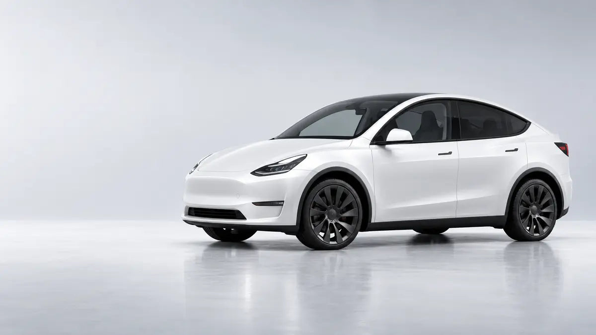 Model Y