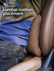 Tesla Suede Headrest, Lumbar Cushion & Travel Blanket