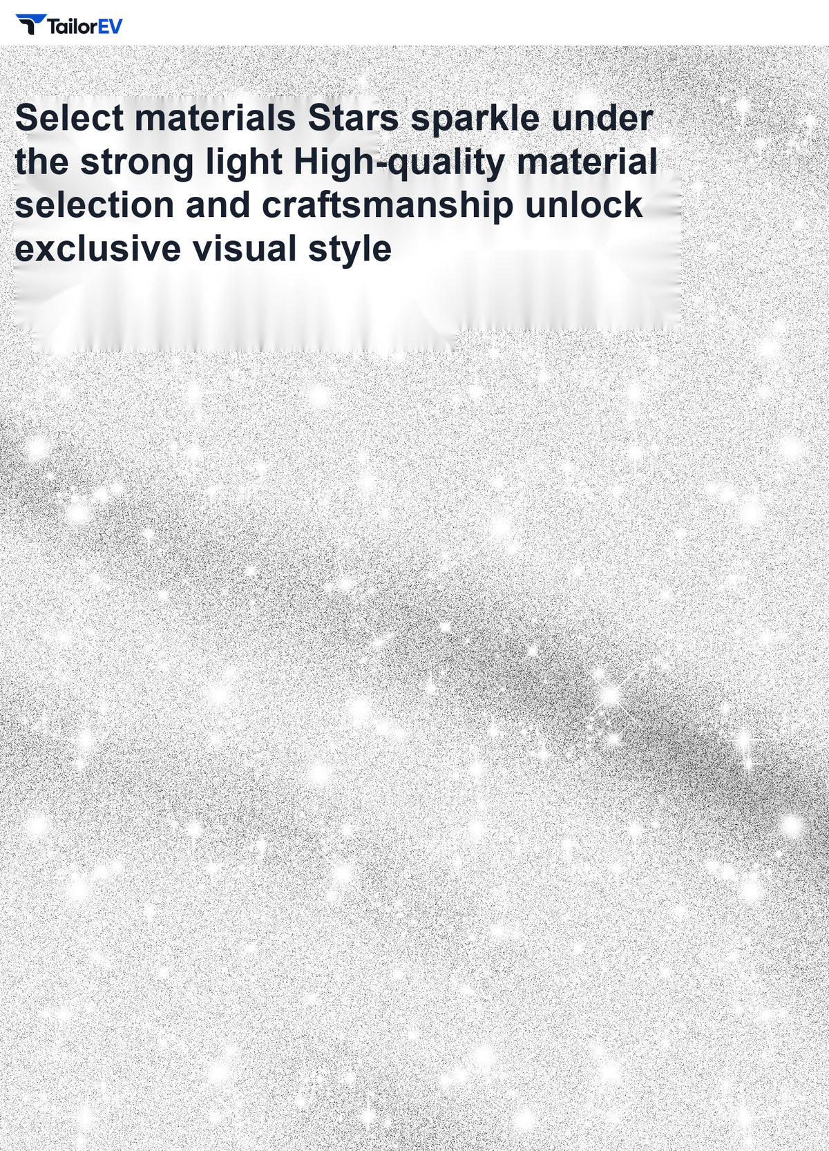 Glitter Rear Light Panel & Handle Decals for Tesla Model Y product photo — photo 4