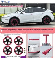Color Exterior Trim Covers for Tesla Model 3 & Model Y product photo