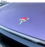 Colorful 3D Acrylic Letter Badges for Tesla Model 3 & Y product photo
