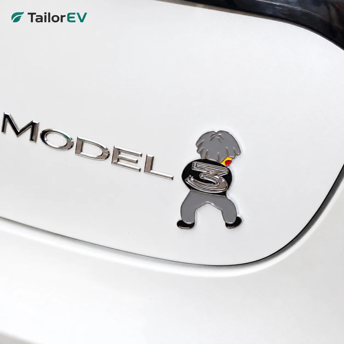 Tesla Novelty 3D Rear Emblem Decals — photo 5