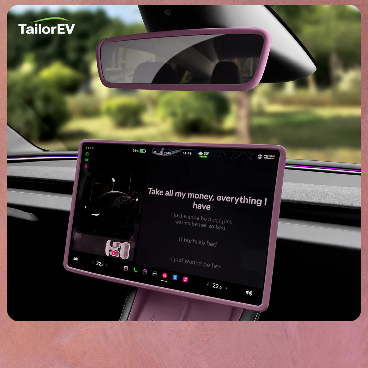 Tesla Interior Rearview Mirror Silicone Cover — photo 15