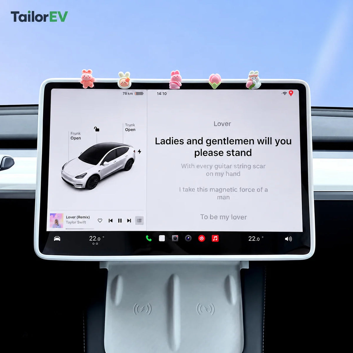 Tesla Center Screen Protective Frame & Interior Kits — photo 9