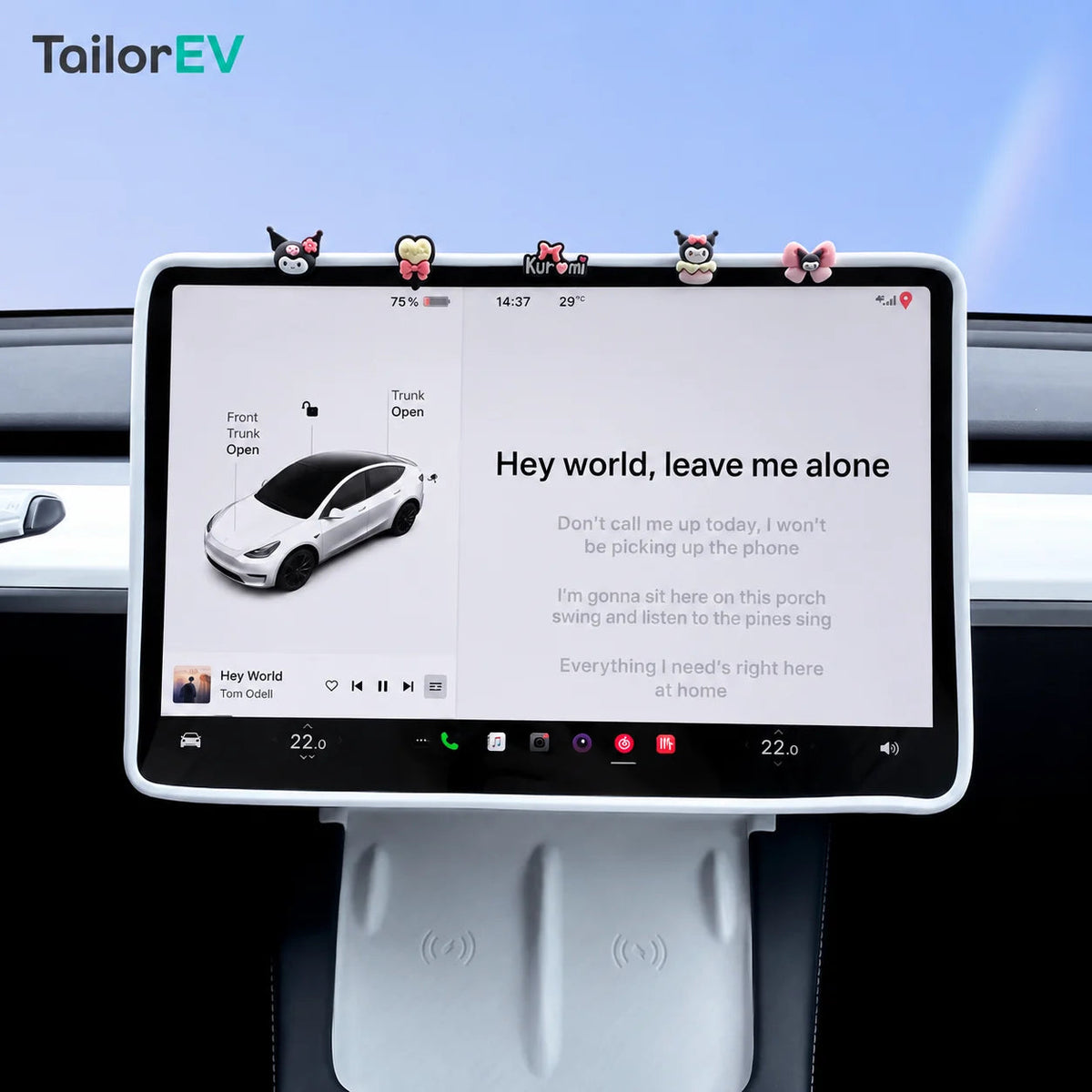 Tesla Center Screen Protective Frame & Interior Kits — photo 10
