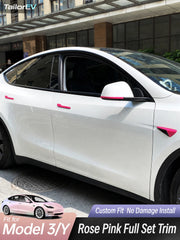 Tesla Emblem, Handle & Camera Accent Decal Kits