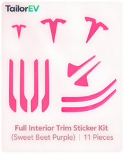 Tesla Emblem, Handle & Camera Accent Decal Kits