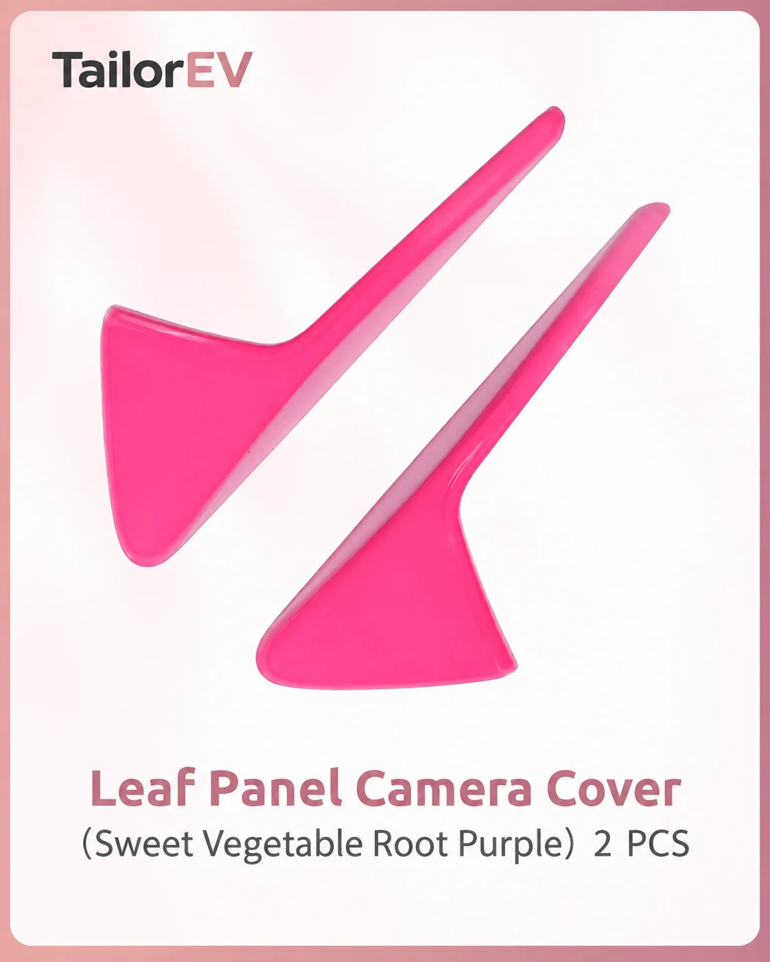 Tesla Emblem, Handle & Camera Accent Decal Kits — photo 35