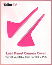 Tesla Emblem, Handle & Camera Accent Decal Kits