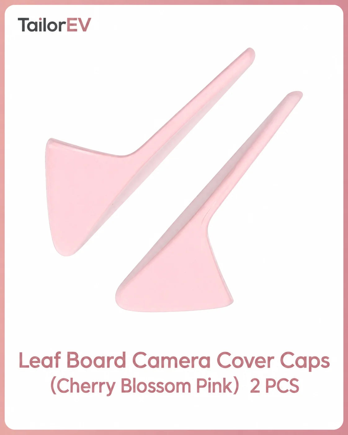 Tesla Emblem, Handle & Camera Accent Decal Kits — photo 50