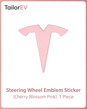 Tesla Emblem, Handle & Camera Accent Decal Kits