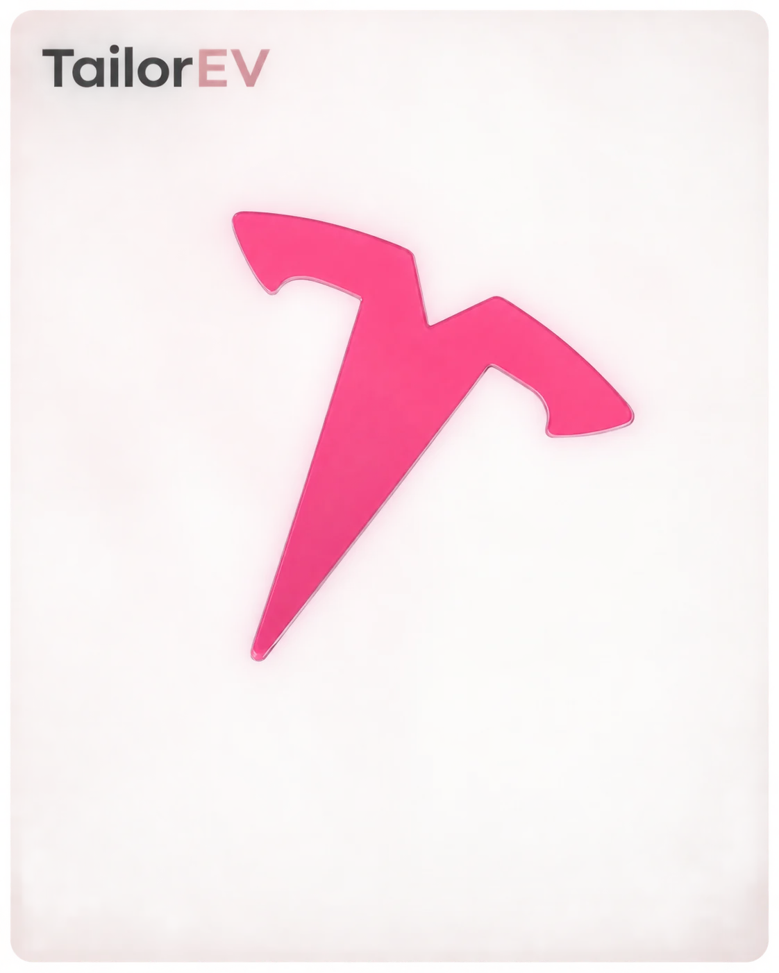 Tesla Emblem, Handle & Camera Accent Decal Kits — photo 32