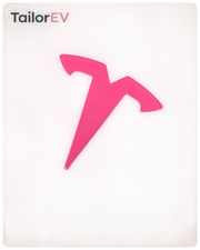 Tesla Emblem, Handle & Camera Accent Decal Kits