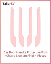 Tesla Emblem, Handle & Camera Accent Decal Kits