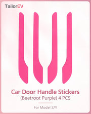Tesla Emblem, Handle & Camera Accent Decal Kits