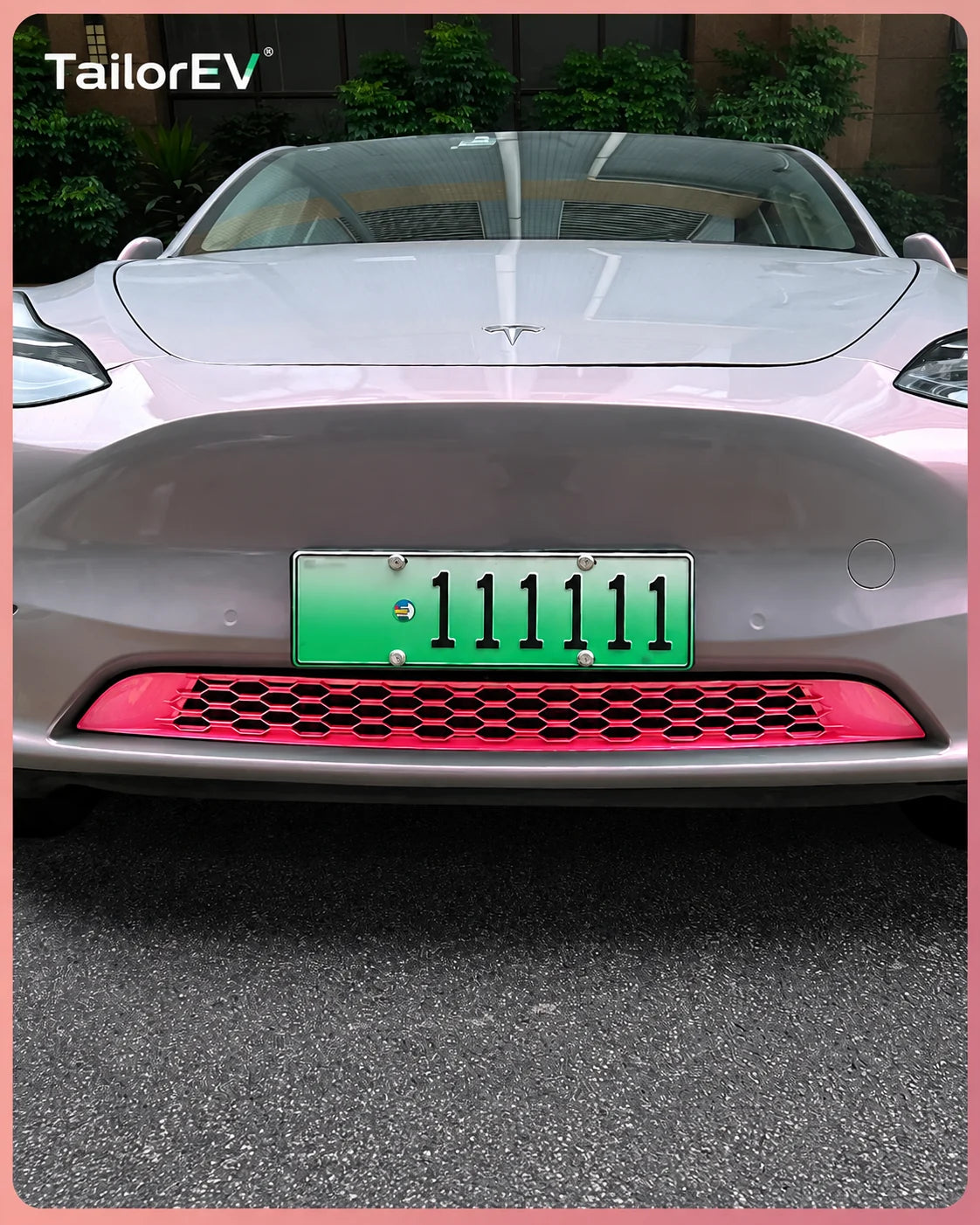 Tesla Emblem, Handle & Camera Accent Decal Kits — photo 64