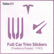 Tesla Emblem, Handle & Camera Accent Decal Kits