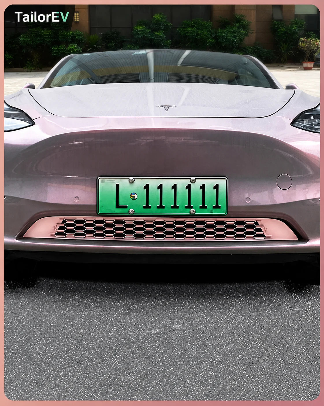 Tesla Emblem, Handle & Camera Accent Decal Kits — photo 75