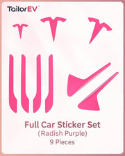 Tesla Emblem, Handle & Camera Accent Decal Kits