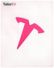 Tesla Emblem, Handle & Camera Accent Decal Kits