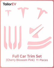 Tesla Emblem, Handle & Camera Accent Decal Kits