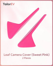 Tesla Emblem, Handle & Camera Accent Decal Kits