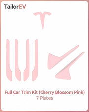 Tesla Emblem, Handle & Camera Accent Decal Kits
