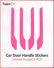 Tesla Emblem, Handle & Camera Accent Decal Kits