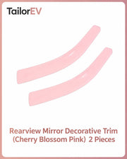 Tesla Emblem, Handle & Camera Accent Decal Kits