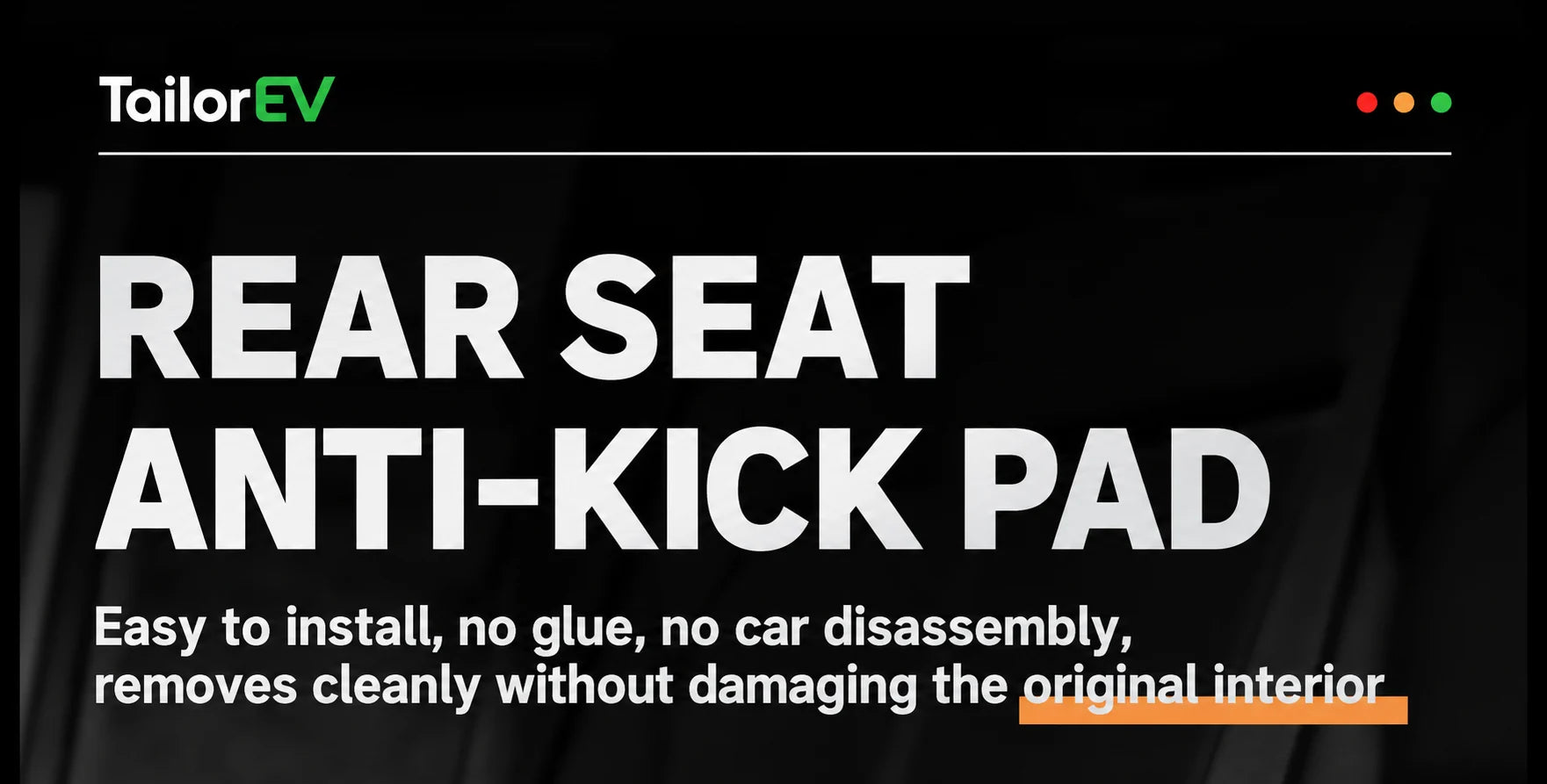 Tesla Door Sill & Interior Protection Kits product detail