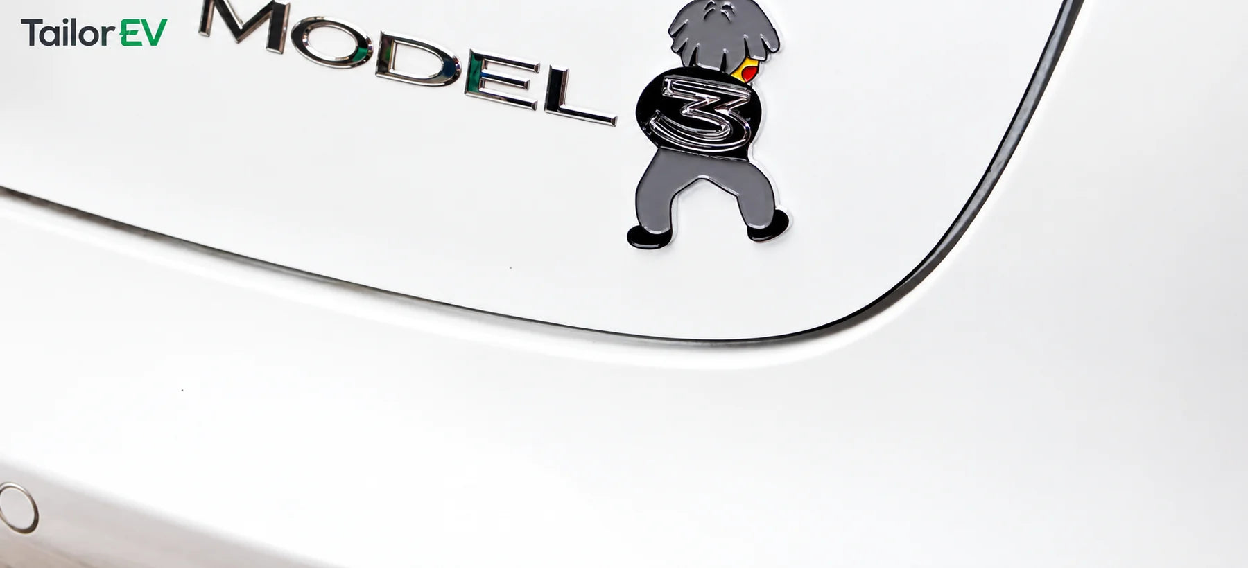 Tesla Novelty 3D Rear Emblem Decals product detail