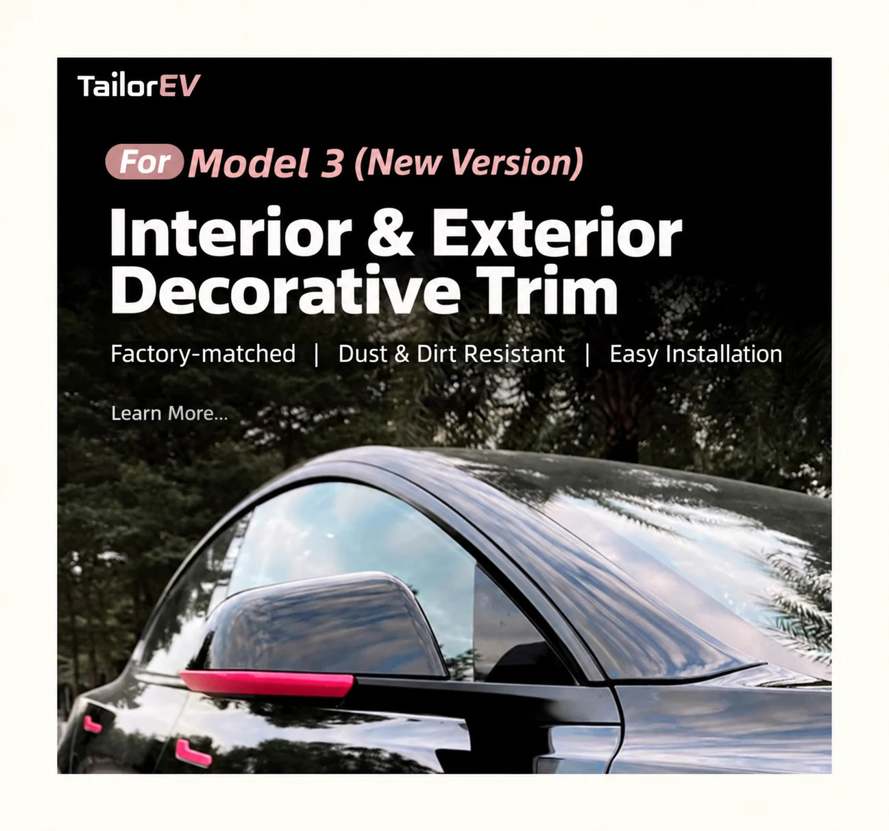 Tesla Emblem, Handle & Camera Accent Decal Kits product detail