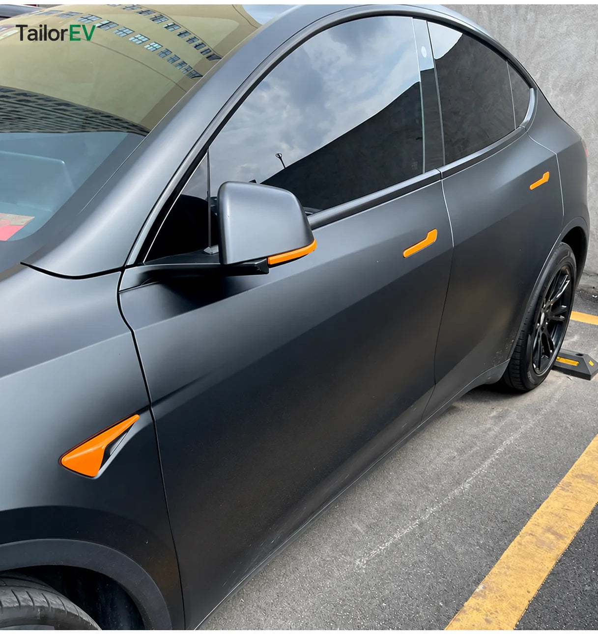 Tesla Emblem, Handle & Camera Accent Decal Kits product detail