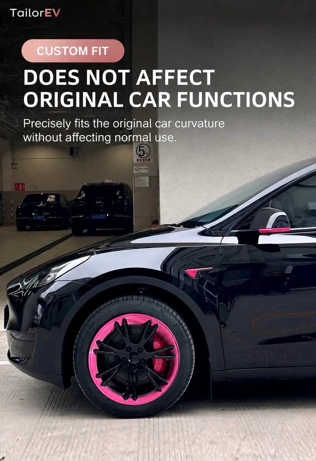 Tesla Emblem, Handle & Camera Accent Decal Kits product detail